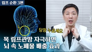 뇌 속 노폐물 배출 경로 발견 목 림프 순환이 치매 파킨슨병 등 퇴행성 중추신경계 질환 예방에 중요한 이유 [upl. by Anniahs270]