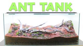 How to Build an Ant Farm  Natural Formicarium [upl. by Keslie]