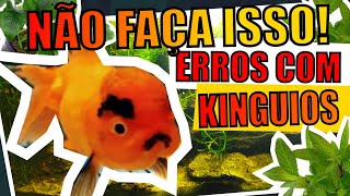 🔴KINGUIOS ERROS QUE OS AQUARISTAS COMETEM EM AQUÁRIOS E LAGOS Mr Betta [upl. by Macnamara]