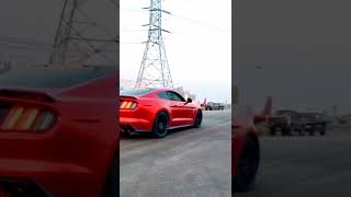 Mustang GT Sound [upl. by Refotsirc141]