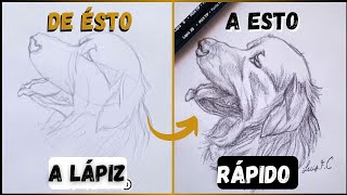 Aprende a DIBUJAR un Perro REALISTAsolo con Dos lápices [upl. by Caron]