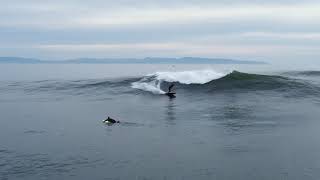 Best wave at Santa Cruz [upl. by Birch805]