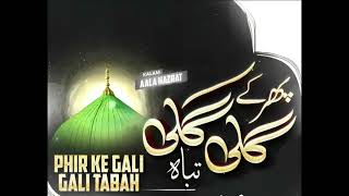 Phir ke Gali Gali Tabah Thoukrein Sb Ki Khaen Kyou  Sharik Raza Qadri  2024 [upl. by Laurette]