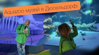 Aquazoo музей Мої враження [upl. by Coster534]