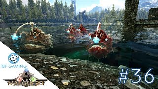 Ark Valguero Angler Fish Taming for Silica Pearls E36 Ark Survival Evolved Valguero Map DLC [upl. by Verdha]