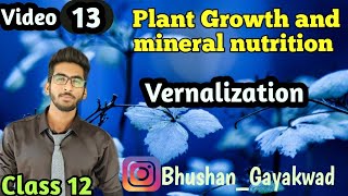 Vernalization  Part 13  Plant growth and mineral nutrition  class 12 [upl. by Yorgos]