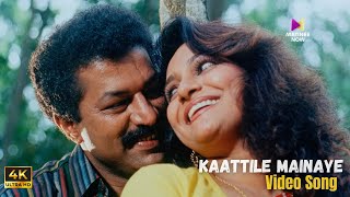 Kaattile Mainaye Video Song  4K Remastered  Akashadoothu  Murali  Madhavi [upl. by Kavanagh]