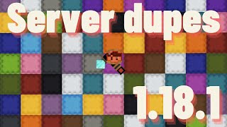 EASY MULTIPLAYER DUPLICATION GLITCHES in Minecraft 1181 [upl. by Josh282]