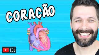 ANATOMIA DO CORAÇÃO  Fisiologia Cardíaca  Biologia com Samuel Cunha [upl. by Ahsenroc]