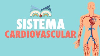 Sistema Cardiovascular  Toda Matéria [upl. by Ress239]