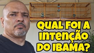 QUAL FOI A INTENÇÃO DO IBAMA [upl. by Leffert689]