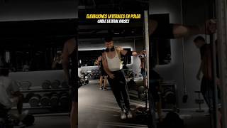 Elevaciones Laterales en Polea  Cable Lateral Raises [upl. by Olivia603]