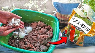 Como fazer terra vegetal em casa SUPER FACIL [upl. by Anikram868]