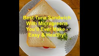 Tuna sandwich With Microgreens  Super Easy amp Healthy [upl. by Pacificas]