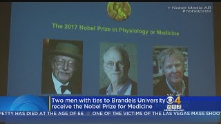 2 Men With Ties To Brandeis University Receive Nobel Prize For Medicine [upl. by Agneta]