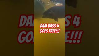 DAM Bass Goes Free 4 [upl. by Zoi]