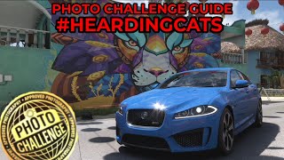 Forza Horizon 5  Photo Challenge Guide  HEARDINGCATS  Ruedas Lion Mural in Playa Azul [upl. by Mathilde]