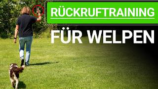 🐕🐶 Rückruftraining für Hunde ➡️ Rückruftraining Welpe ➡️ Erklärvideo 🐕🐶✔️ [upl. by Eceerehs]