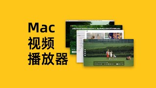 4款Mac视频播放器｜软件推荐 [upl. by Alleusnoc]