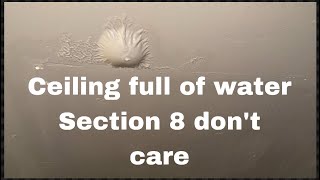 Section 8 is for lazy people who don’t work and love living off the government [upl. by Laurianne]