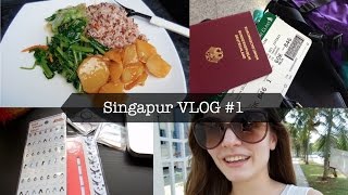 Singapur VLOG 1  Mein Auslandspraktikum [upl. by Airdnahc]