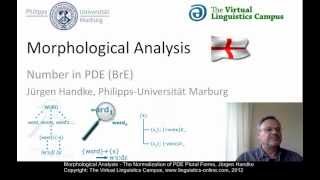 MOR106  Morphological Analysis PDE [upl. by Tann]