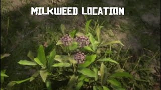 RDR2 Milkweed location Bluewater Marsh [upl. by Eidoc]