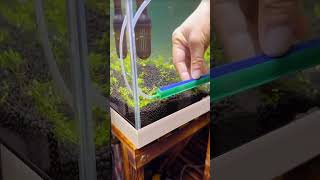 In this video I will Aquarium Setup in 15 Days  Aquascape [upl. by Atteinotna605]