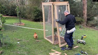 Building a Fruit Tree Enclosure to keep out the Possums and Rats [upl. by Madison178]