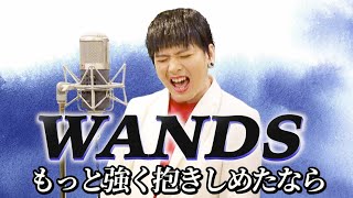 WANDSの『もっと強く抱きしめたなら』をMrシャチホコが本気で歌ってみたWANDS上杉昇ものまね [upl. by Alihet]