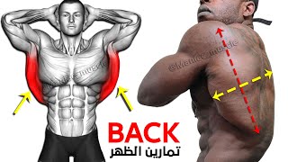 These are the 10 Biggest Back Exercises You Need to Know [upl. by Kcirdled]