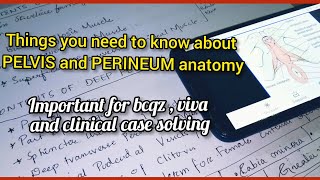 important things you need to know about PELVIS and PERINEUM anatomyimportant questions for viva [upl. by Ahsaei]