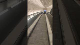 Die längste gewölbte Rolltreppe Europas in der Elbphilharmonie hamz [upl. by Reeta]