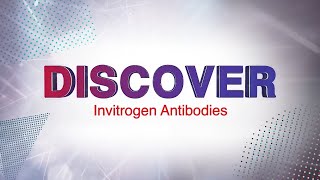 Discover Invitrogen Antibodies and Choose Quality with Confidence [upl. by Erodroeht]