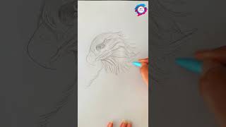 draw realistic eagle face step by step shorts toutubeshort artcrucial pencialsketch [upl. by Eeb]