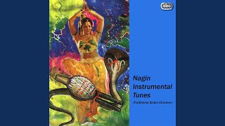 Nagin Instrumental Tune 1 [upl. by Setsero]