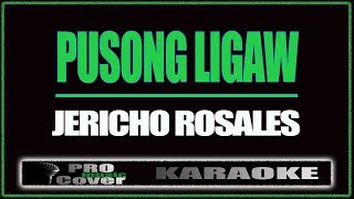 Pusong ligaw  Jericho Rosales KARAOKE [upl. by Riancho]