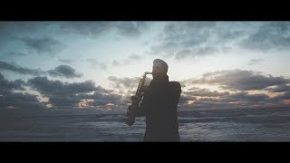 Ludovico Einaudi  Elegy for the Arctic Zygi Sax Remake [upl. by Rimidalg]