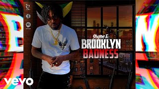 Shane E  Brooklyn Badness Official Audio [upl. by Aimat]