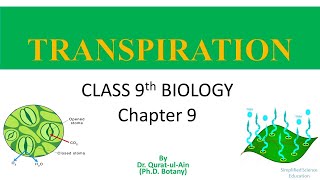 Transpiration II Movement of water in plants II Factors affecting transpiration II Class 9th Biology [upl. by Floyd]