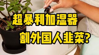 超暴利加湿器，靠什么割外国人韭菜？ [upl. by Barrada201]