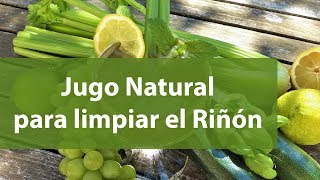 Jugo Natural para limpiar el Riñón y Bajar la Creatinina [upl. by Ahsar]