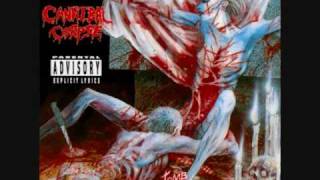 Cannibal Corpse  Entrails Ripped From A Virgins Cunt Double Speed [upl. by Ailina]