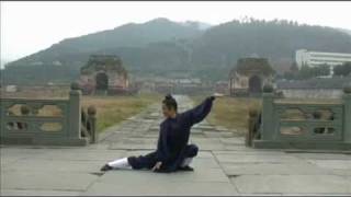 Wudang Five Animals Qi Gong 武当五行气功 [upl. by Aisanat]