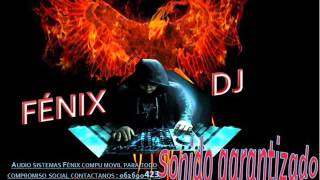 ♥ORQUESTAS DE OTAVALO amp CAYAMBE MIX 2016 FÉNIX DJ [upl. by Nodaj648]