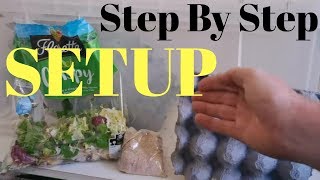 How To Setup A Dubia Roach Breeding Colony For FAST Production [upl. by Lasley]