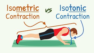 Isometric Contraction vs Isotonic Contraction  Physiology with Animation [upl. by Klinger]