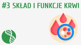 Skład i funkcje krwi 3  Krążenie [upl. by Anaet854]