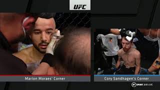 Marlon moraes vs cory sandhagen [upl. by Ahsyat]