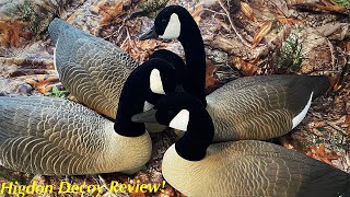 Higdon FullSize Goose Floaters Review Decoy Review Should You Buy [upl. by Sualkcin803]